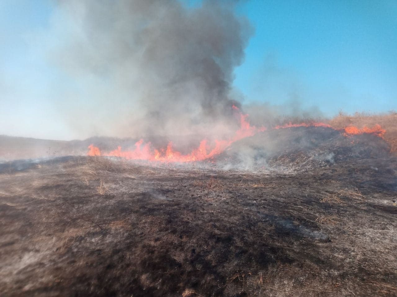 Incendiile de vegetaţie – un pericol pentru viaţă şi mediu