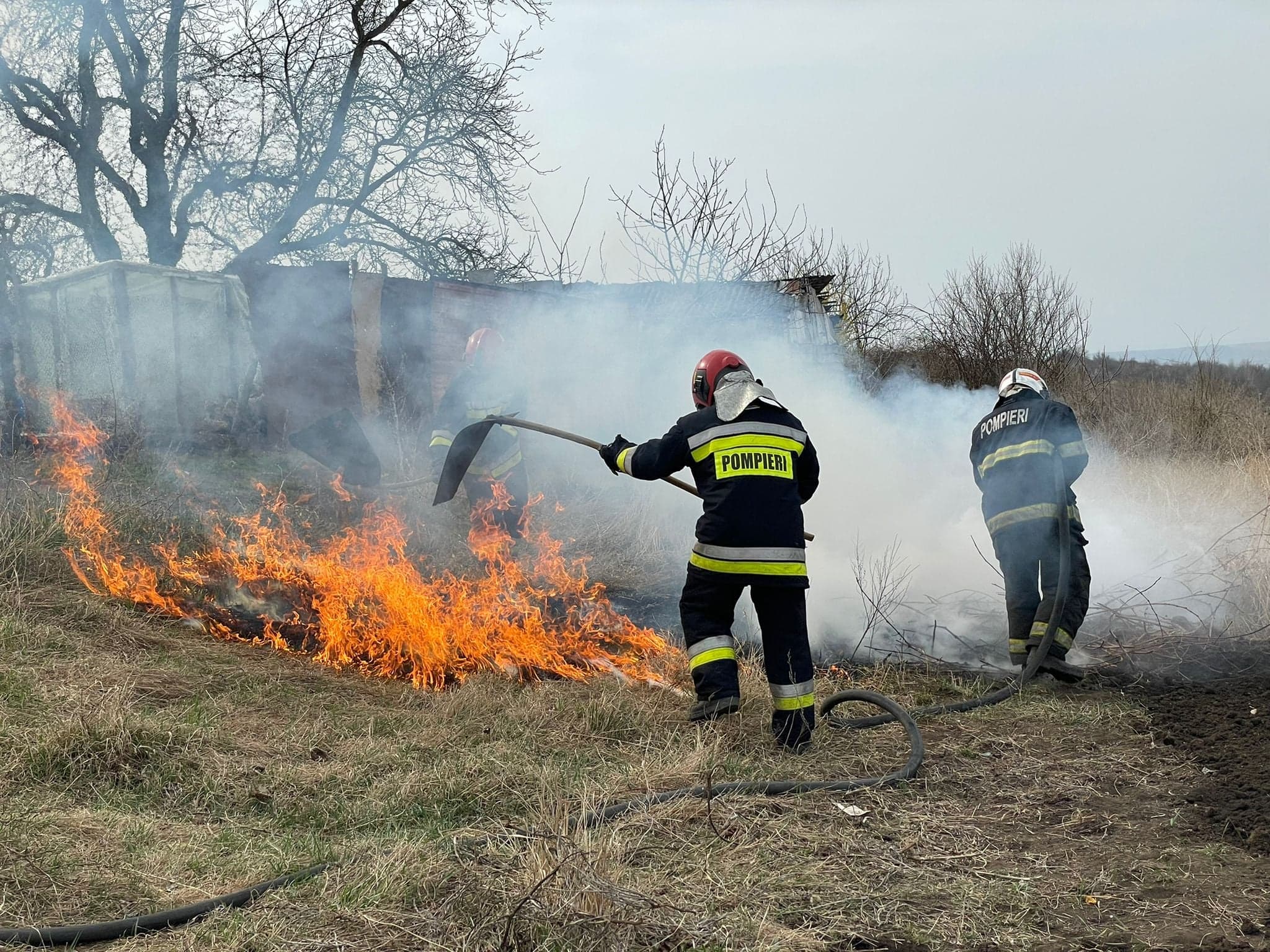 Peste 4.000 mii de hectare, distruse de flăcări în luna martie / FOTO