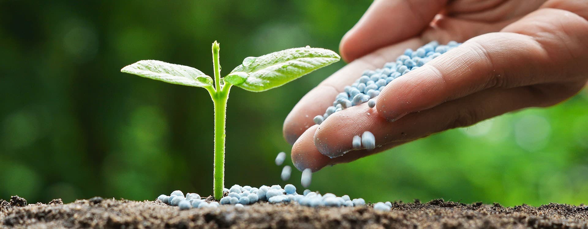 Explozie a prețurilor pe piața de îngrășăminte agricole