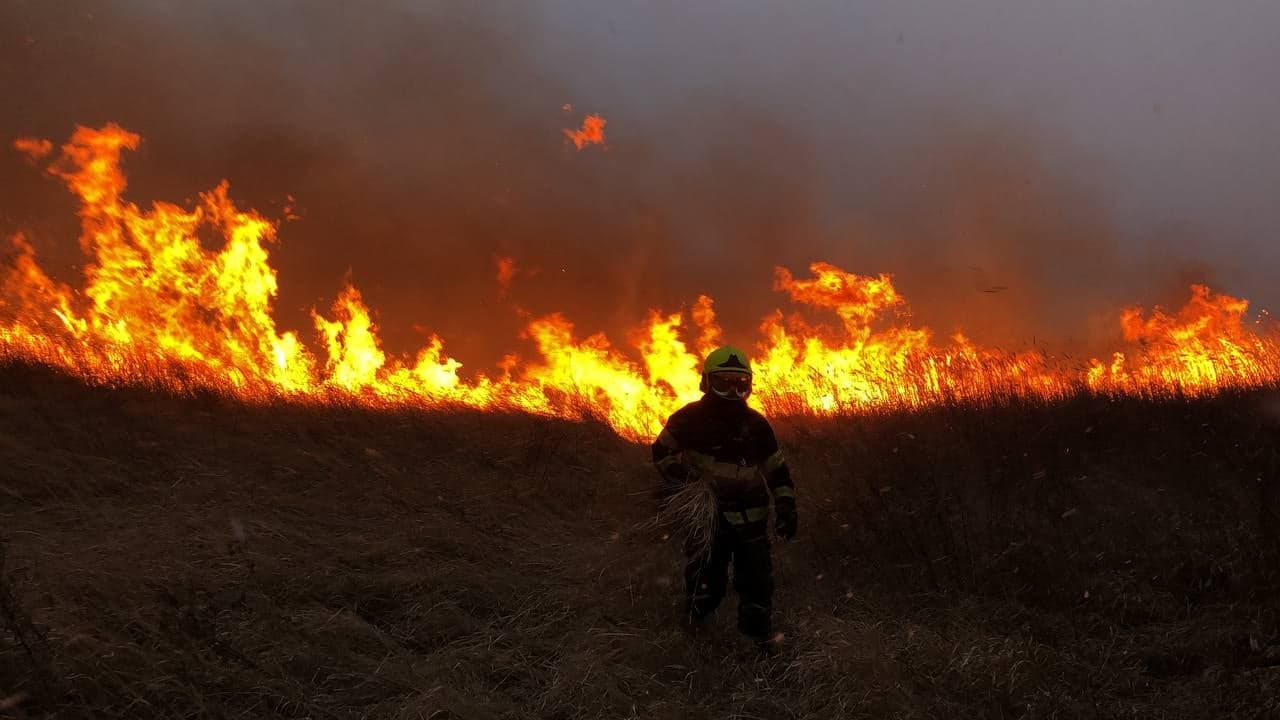 Incendiile de vegetație continuă să facă ravagii în țară
