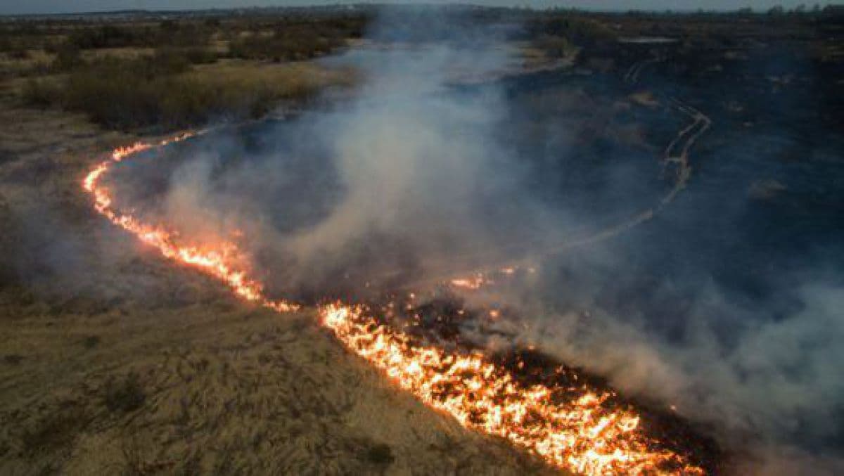 Consecințele incendiilor de vegetație / VIDEO