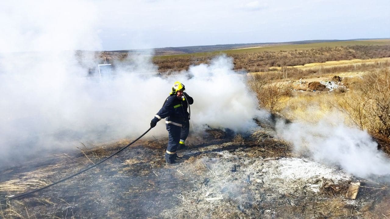 Peste 1.600 de hectare au fost distruse de flăcări / VIDEO