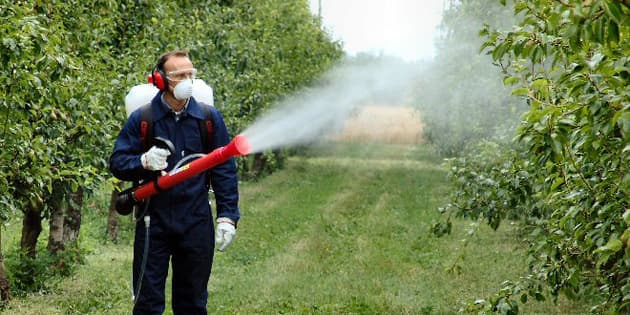 Ar putea fi redusă folosirea produselor de uz fitosanitar