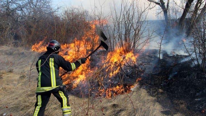 Incendiile de vegetație continuă să producă pagube enorme