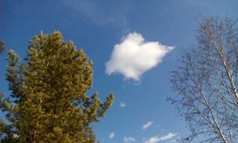 Vreme stabilă, prognozează meteorologii