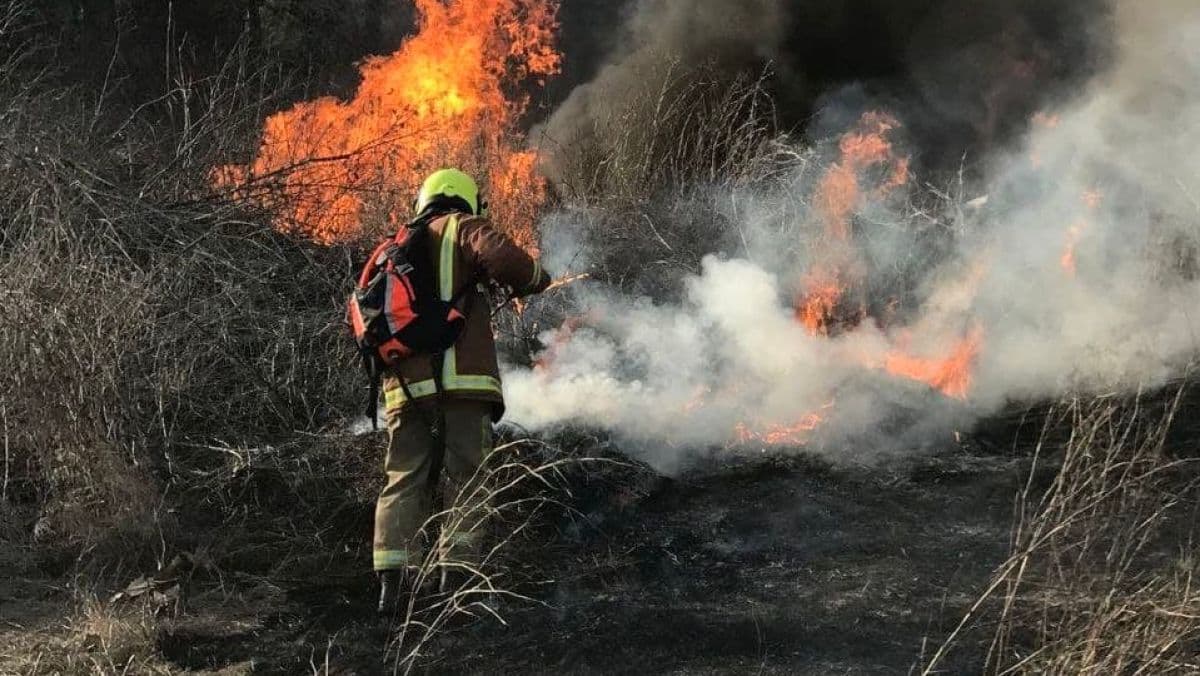 Record de incendii de vegetație uscată în țară