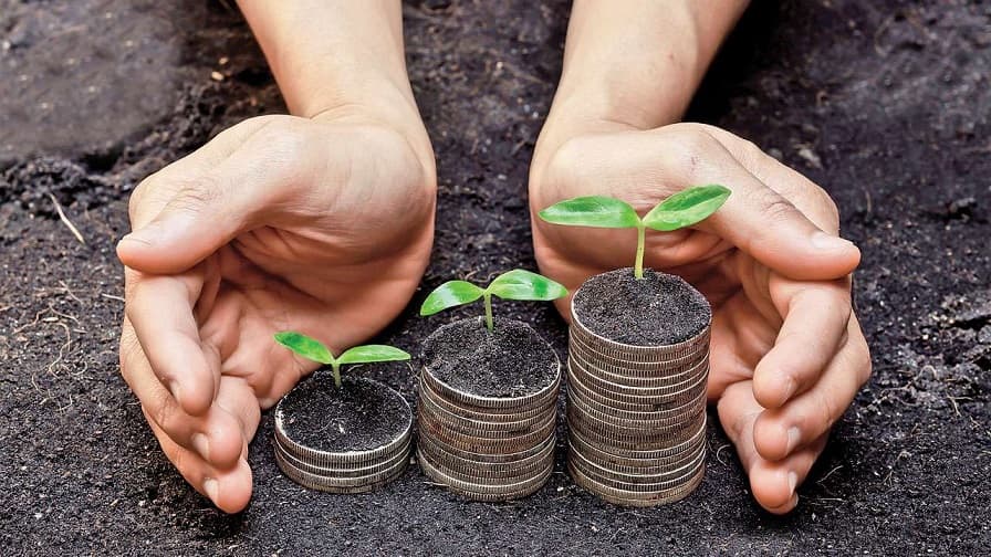 Un nou proiect de măsuri de urgență pentru sprijinirea fermierilor
