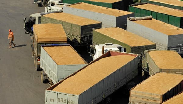 Rusia estimează că ar putea exporta 50 milioane tone de cereale