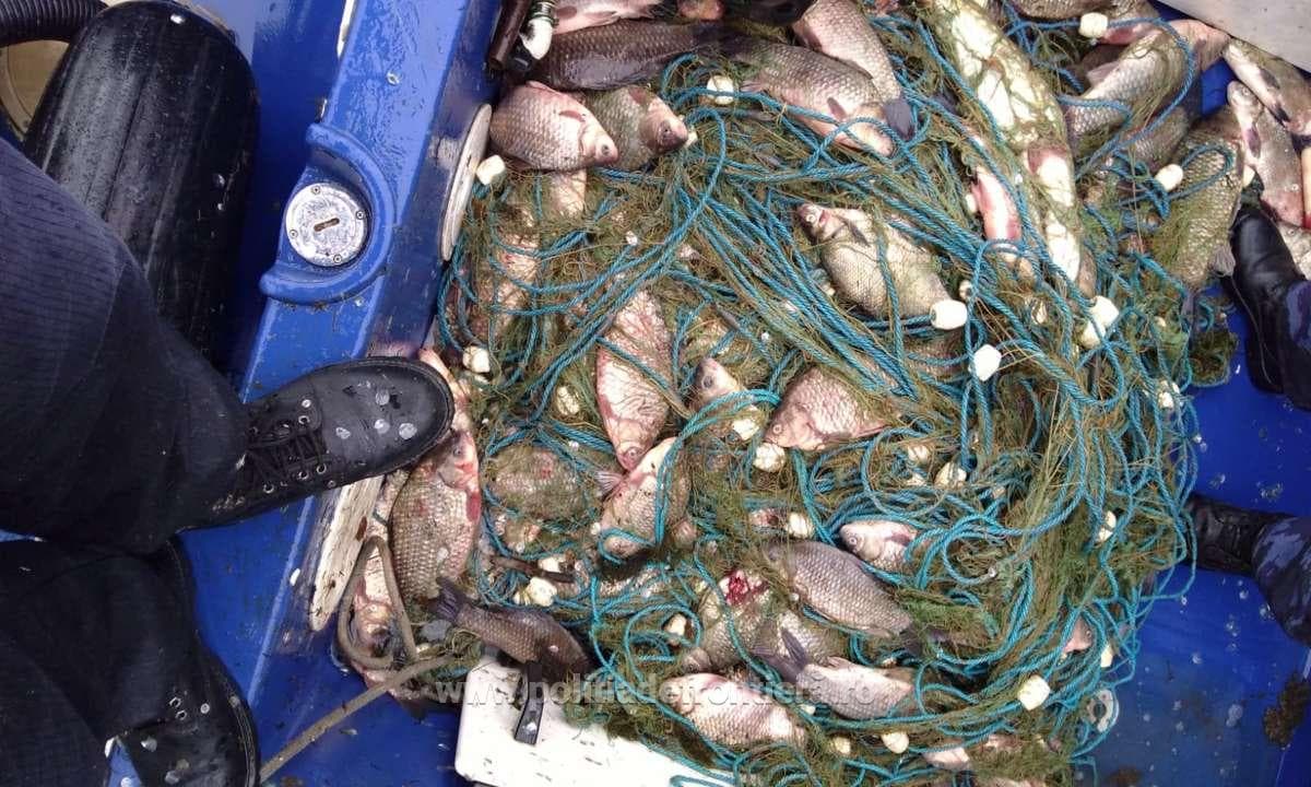 Au fost efectuate razii și aplicate amenzi pentru braconajului piscicol