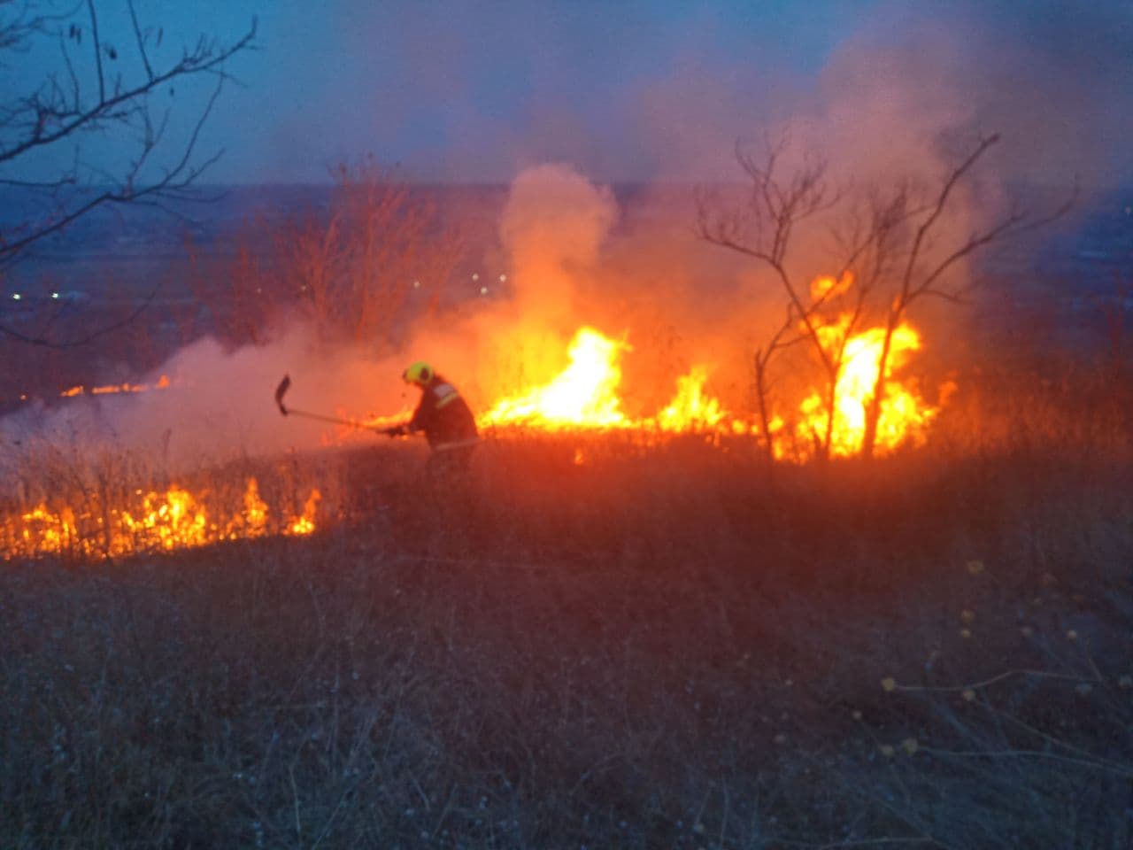 Aproximativ 1200 de hectare de teren au fost mistuite de flăcări