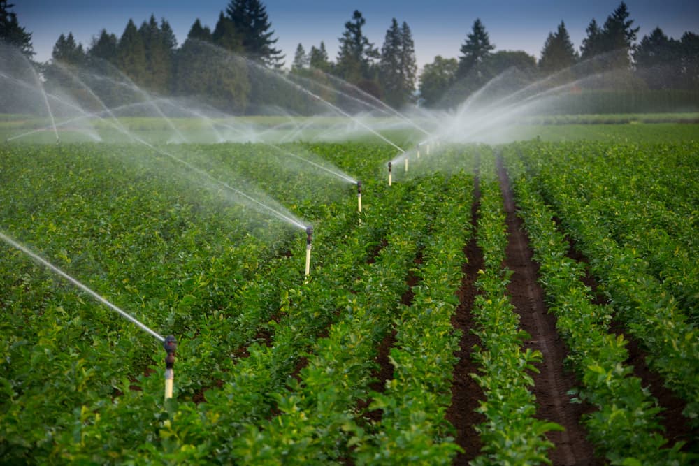 Accesul agricultorilor la irigare, simplificat