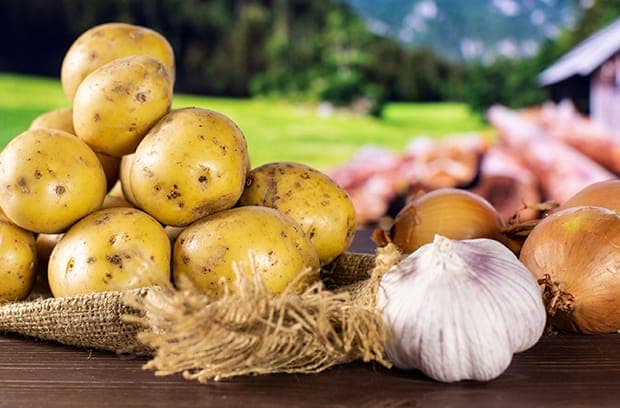 Prognoze: suprafața însămânţată cu cartofi și legume nu va fi redusă