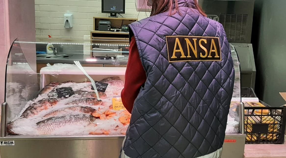 Controalele cu privire la verificarea calității peștelui proaspăt / FOTO
