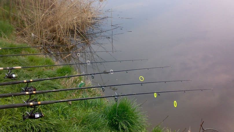 Mai mulți pescari s-au ales cu amenzi în urma pescuitului ilegal
