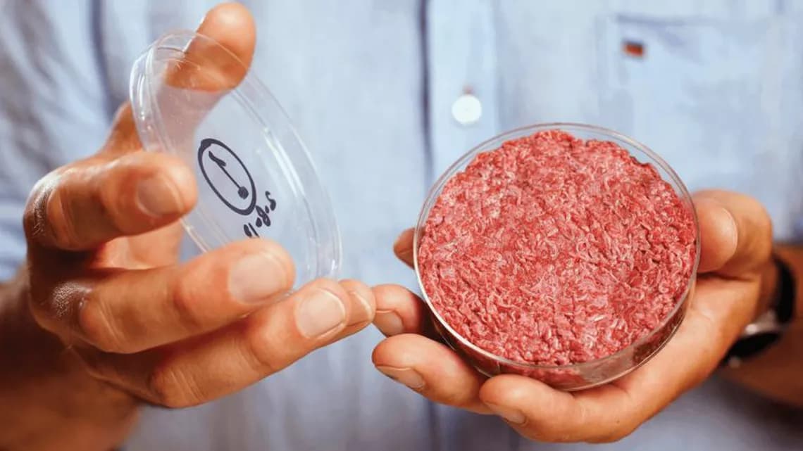 Carnea artificială, salvarea planetei: ce sunt proteinele „microbiene”