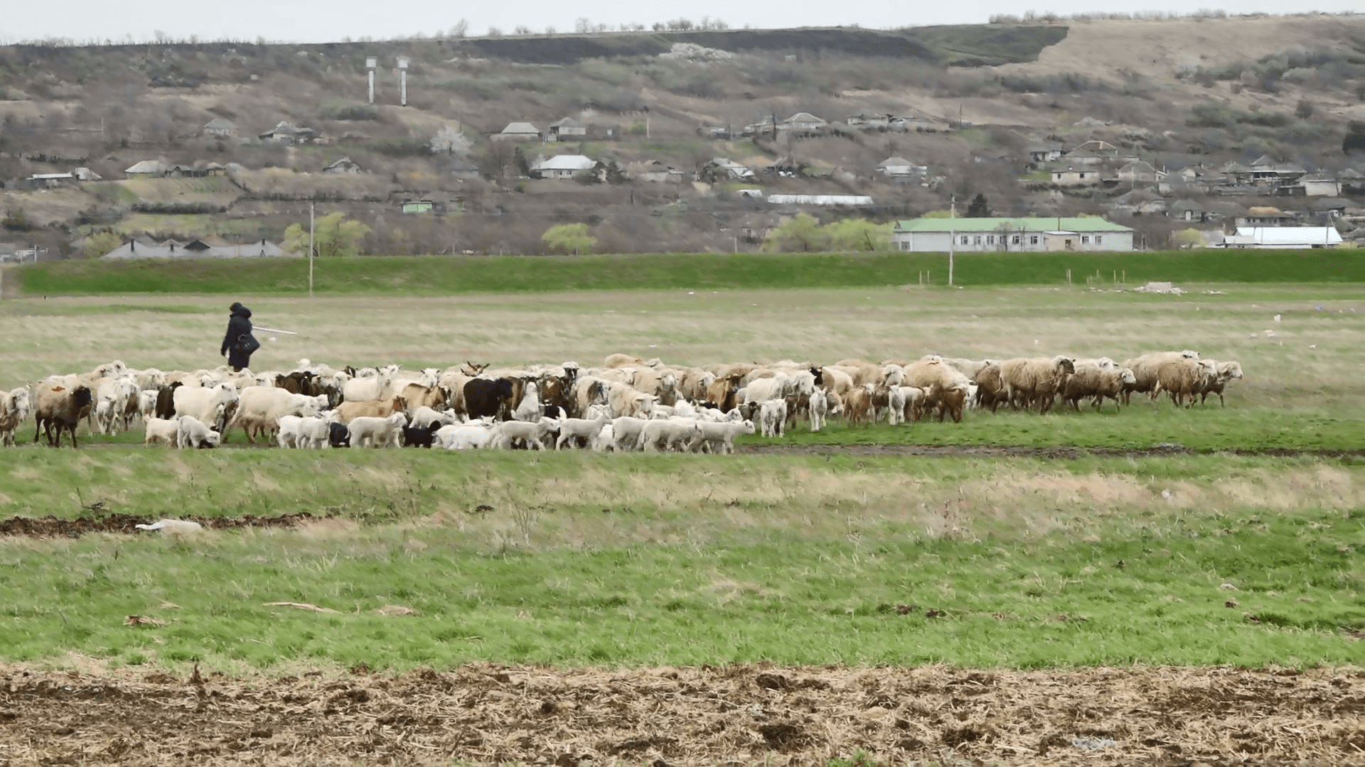 Dacă investești azi, mâine vei avea rezultat