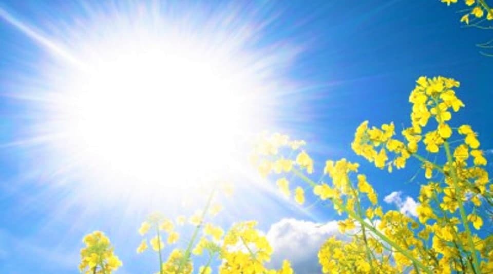 Vreme frumoasă pentru acest week-end, prognozează sinopticienii