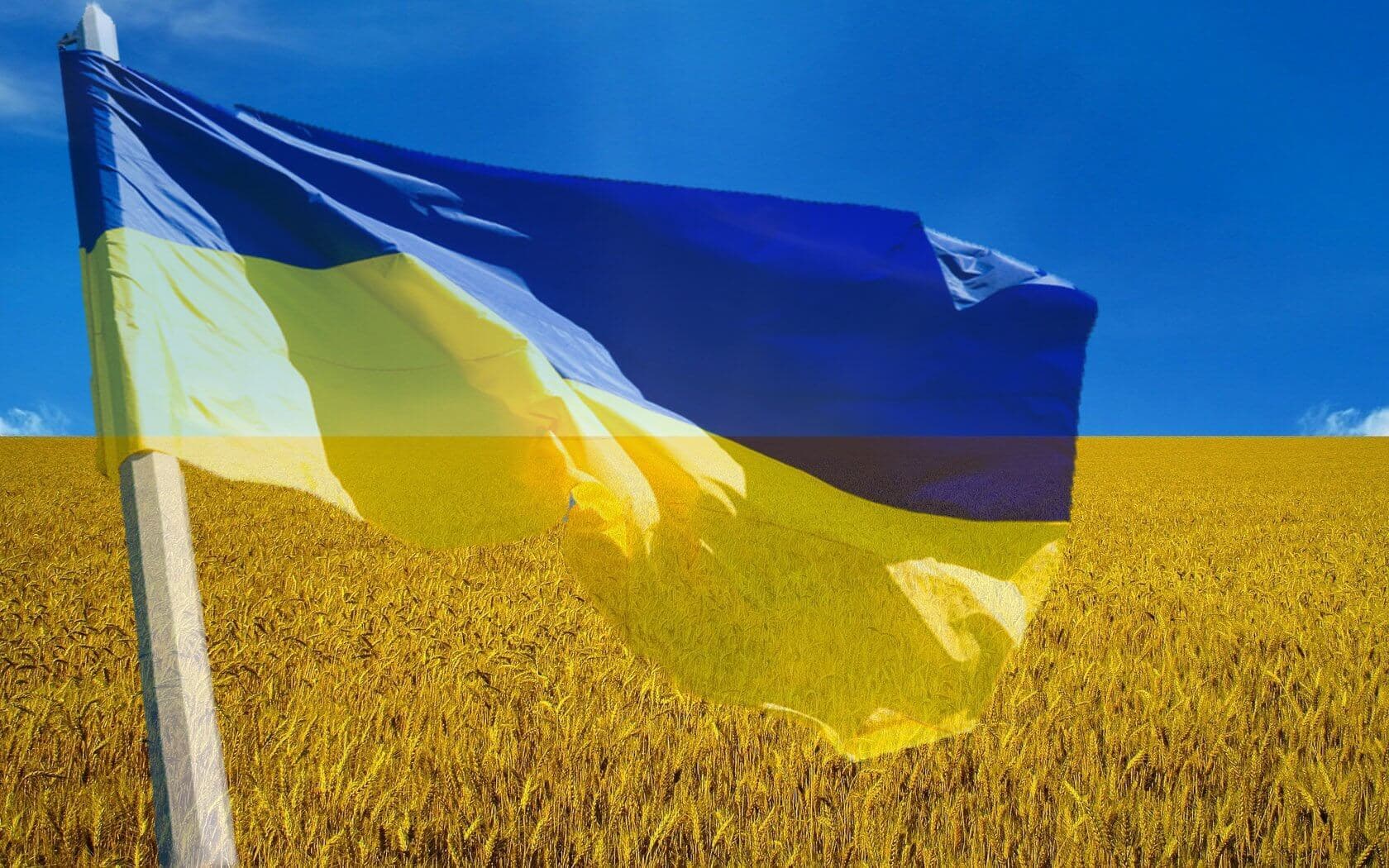 Cât de mare este dezastrul agricol în Ucraina