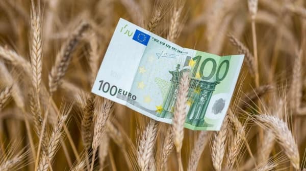 Piața cerealelor înregistrează o creștere a prețurilor