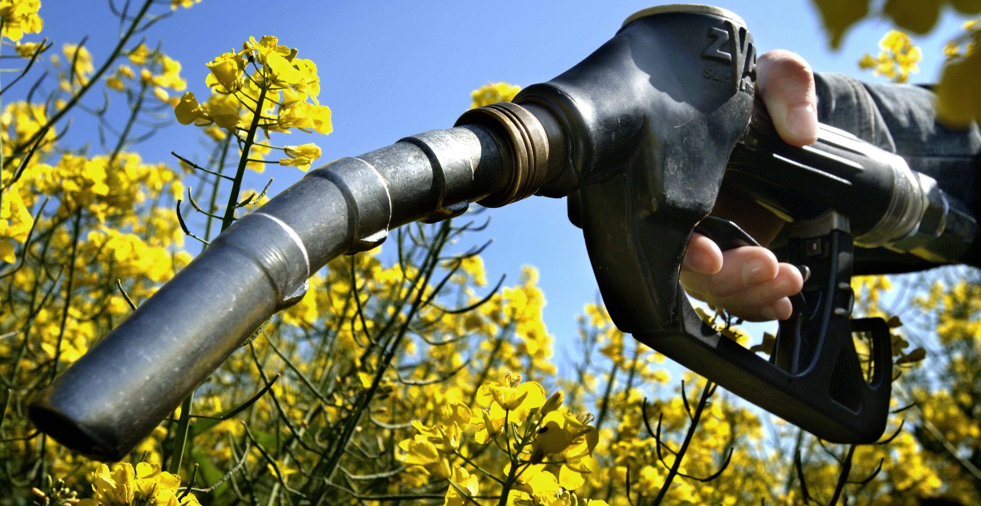 Vara începe cu scumpiri în Moldova. Crește prețul la carburanți