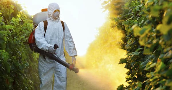 Riscurile de pe urma utilizării pesticidelor vor fi diminuate