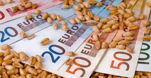 Prețurile cerealelor – Lupta pentru cereale crește prețurile