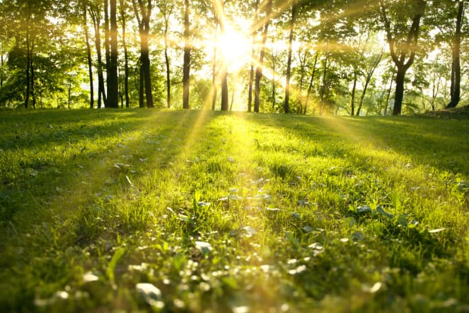 Vremea se încălzește, prognozează meteorologii