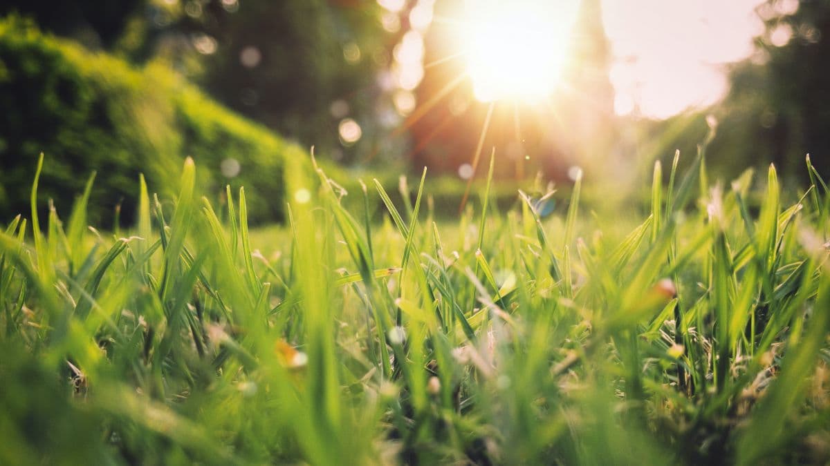 Vremea va fi stabilă, prognozează meteorologii