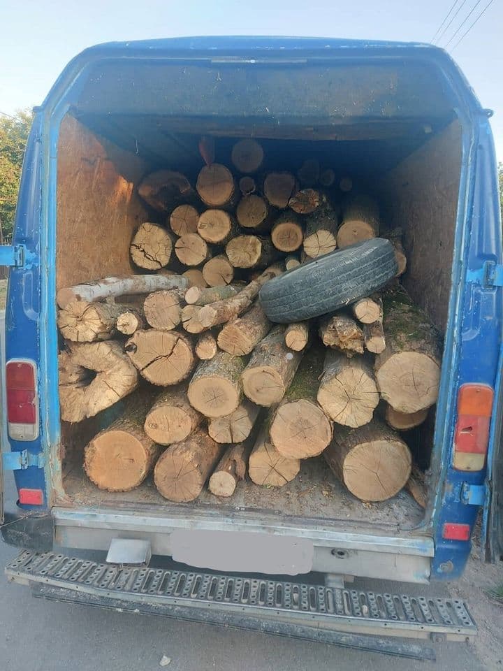 Doi șoferi transportau ilegal lemne de foc