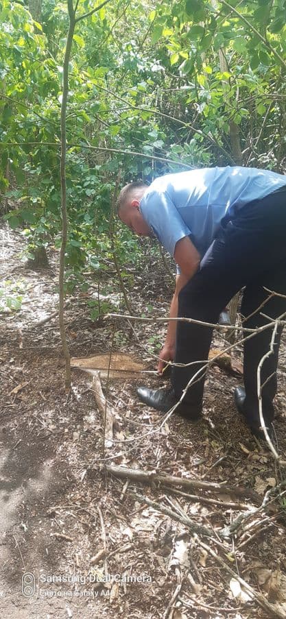 Tăieri ilegale de copaci în raionul Râșcani, oamenii legii i-au amendat