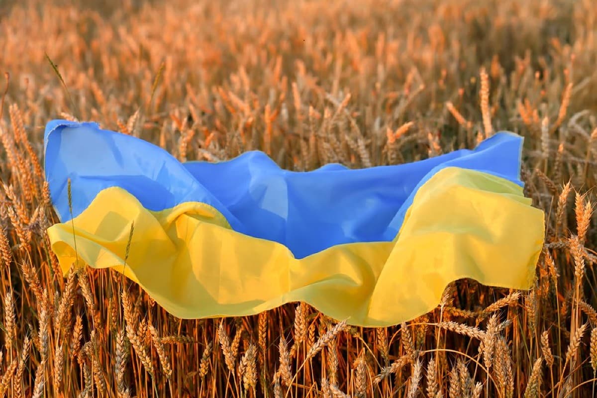 Fermierii ucraineni fac agricultură și pe timp de război