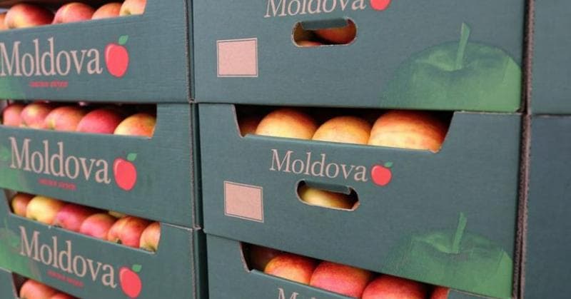 Coridor verde pentru produsele perisabile la vama moldovenească