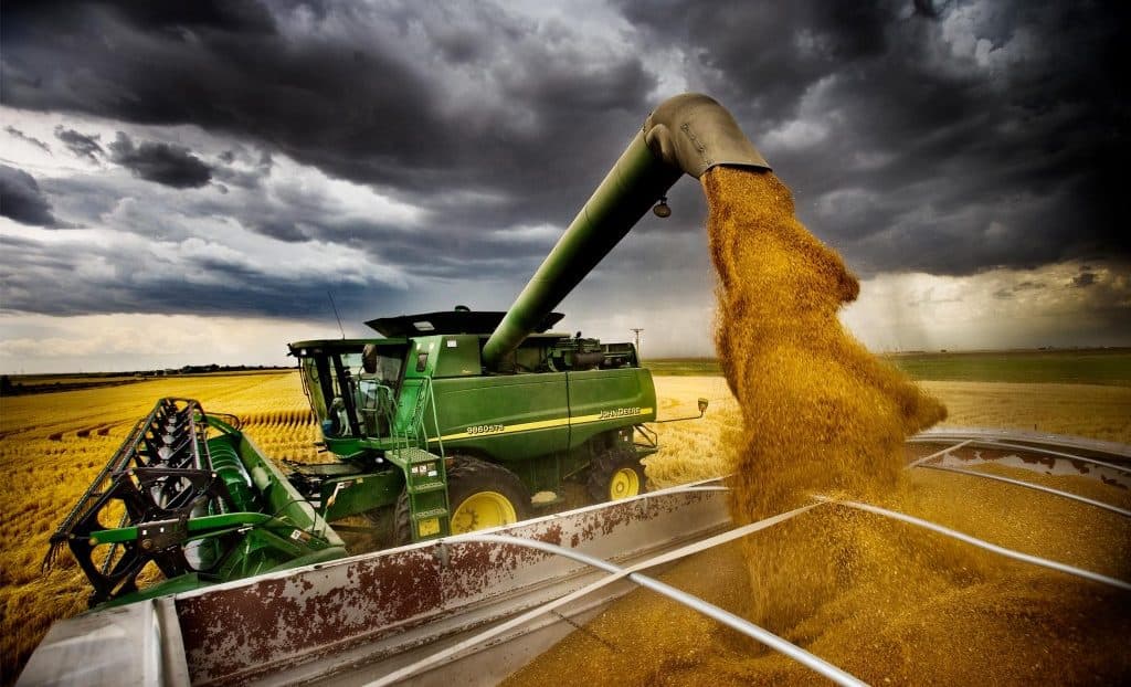 FAO se aşteaptă la o scădere a producţiei mondiale de cereale