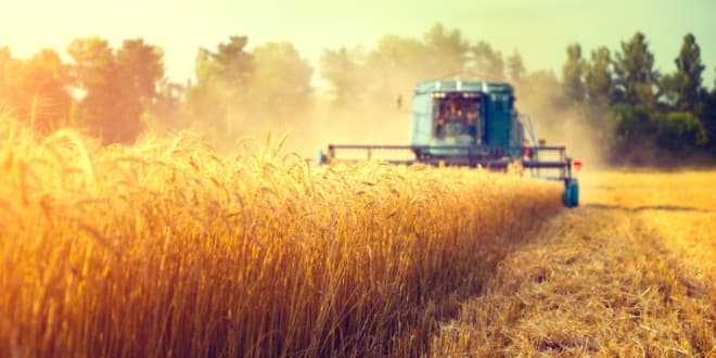 România: „Vom închide acest an agricol cu o producție stabilă”