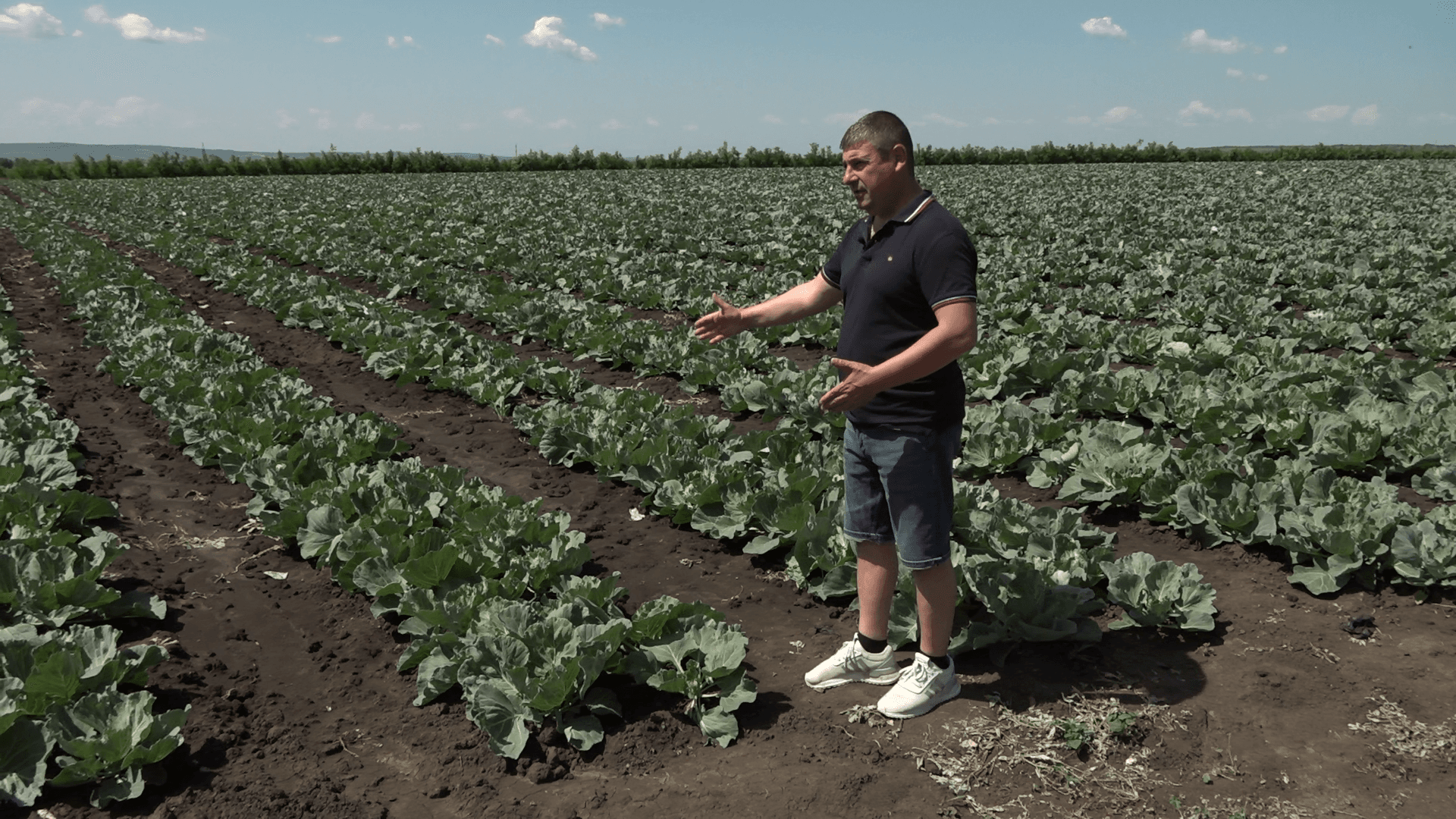 Chiar și pe timp de criză, agricultorii continuă să muncească