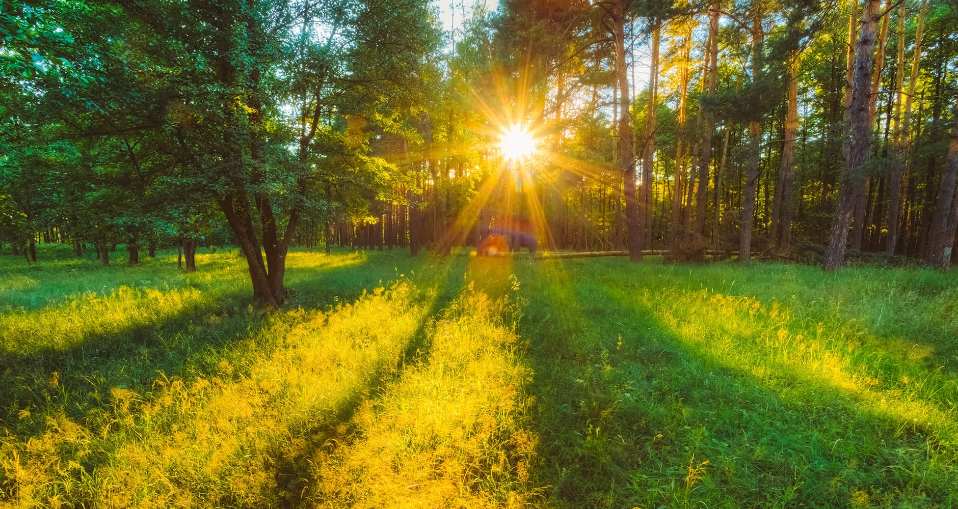 Prognozele meteorologilor pentru ziua de joi