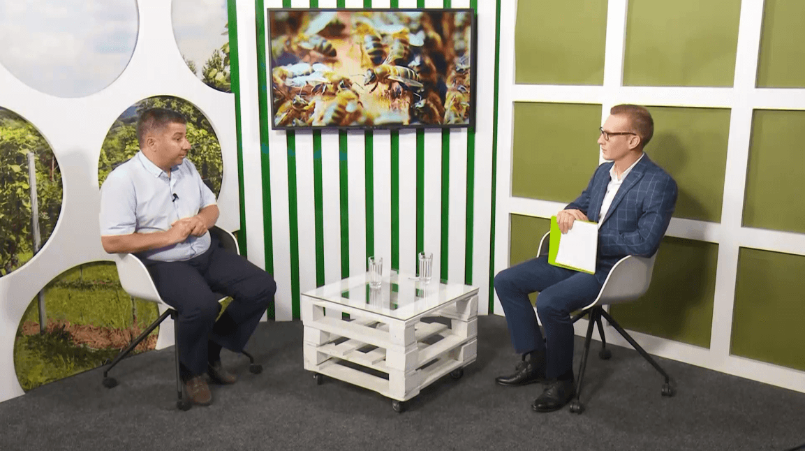 START-UP ÎN APICULTURĂ – SECTOR NECESAR ȘI DE PERSPECTIVĂ