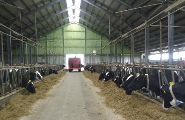 Criza din sectorul lactatelor: importurile cresc, iar producția autohtonă continuă să scadă semnificativ