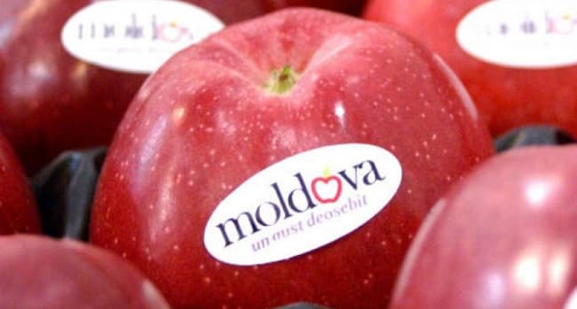 Recoltă mai mică, bani mai mulți! Exporturile de fructe din Republica Moldova au atins un record istoric în 2024
