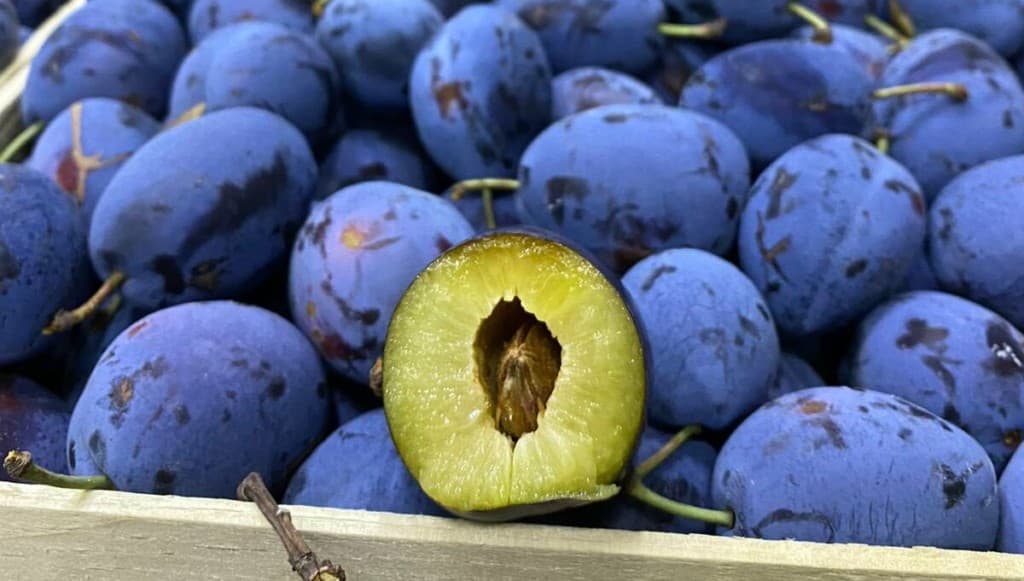 Prețul prunelor moldovenești este în creștere