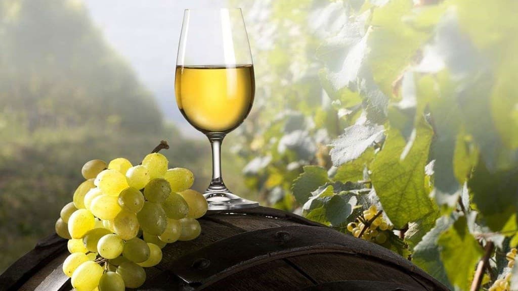 Producția de vin în Franța ar urma să crească în acest an