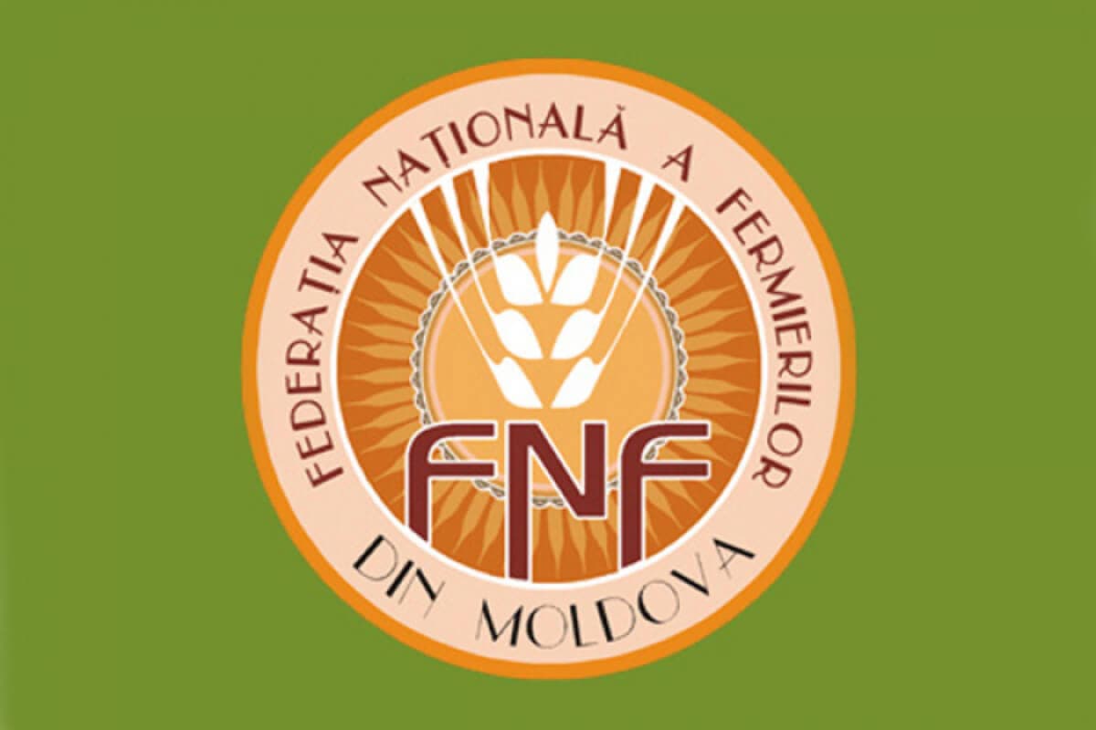 FNFM se abține de la participarea la proteste