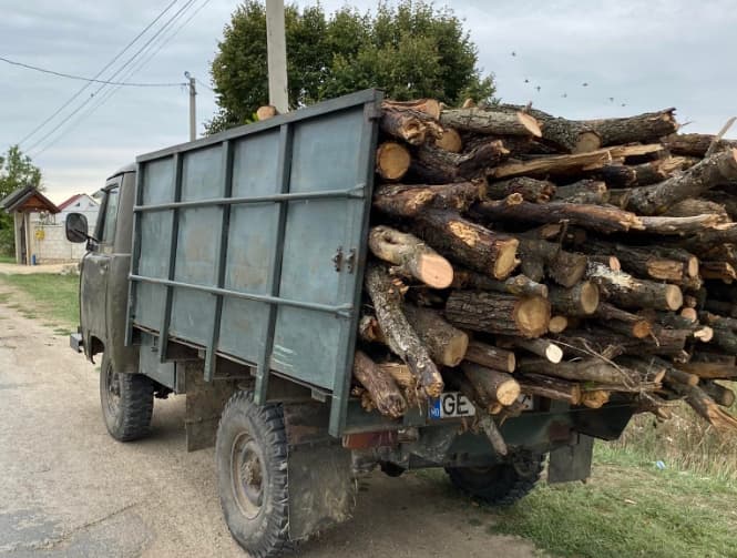 Au fost amendați cu 5000 lei pentru că transportau lemne ilegal