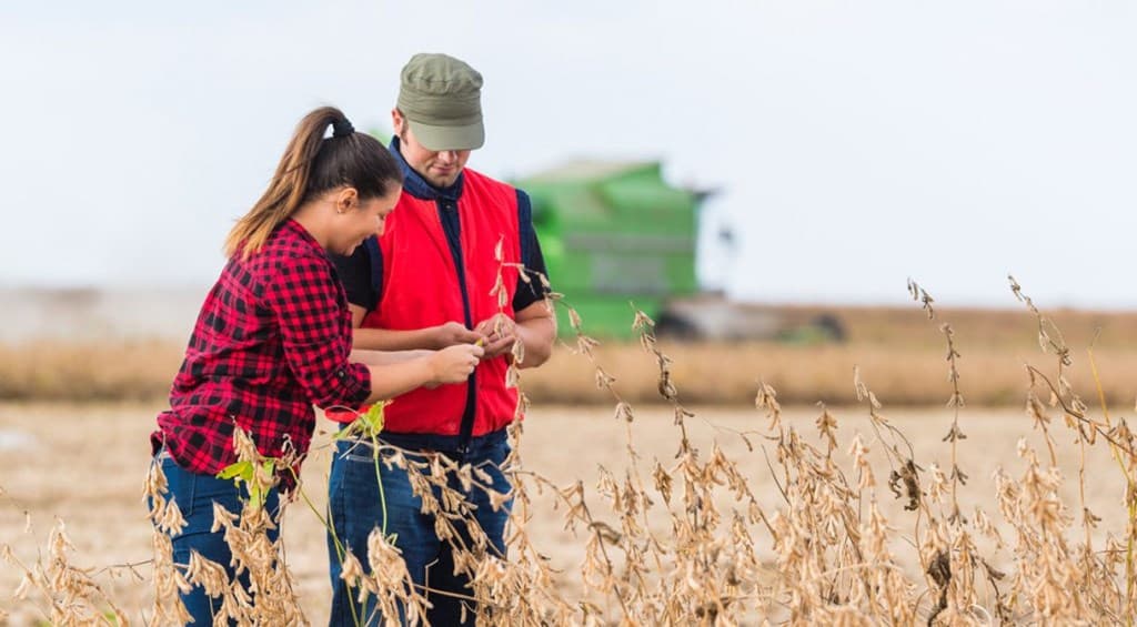 Agricultura de familie în Republica Moldova: Provocări și soluții pentru supraviețuire și prosperitate