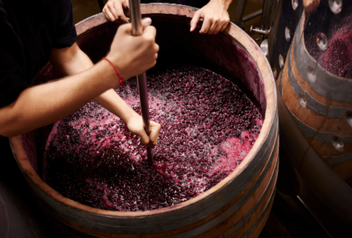 Atenţie! Fermentarea vinului emană gaze toxice care pot fi fatale