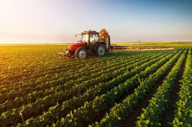 Producția agricolă în scădere: scădere semnificativă a efectivului de animale și creștere modestă în sectorul laptelui și ouălor