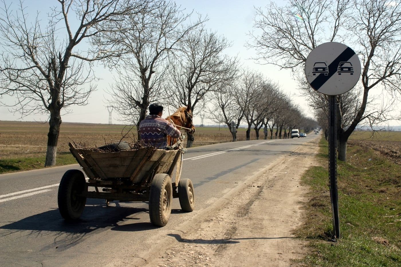 Un bărbat a urcat beat în căruță, iar acum riscă amendă