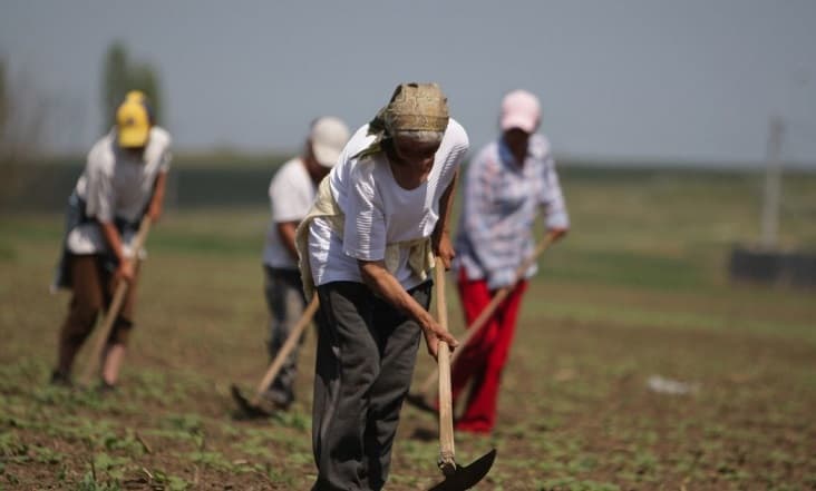 Este important pentru cei care lucrează cu ziua