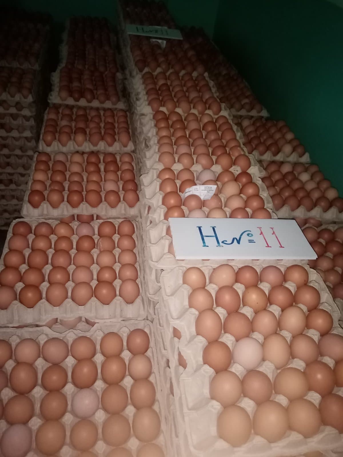 Un lot de ouă, infectat cu salmonella. ANSA vine cu recomandări