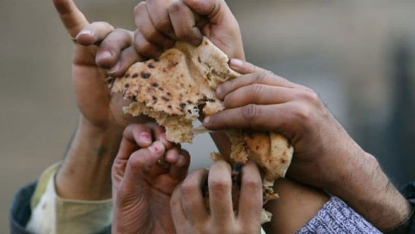 Țările G20 „profund preocupate” de criza alimentară globală